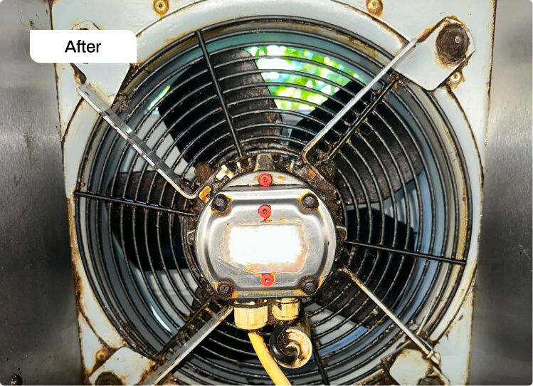 Exit Canopy Cleaning After