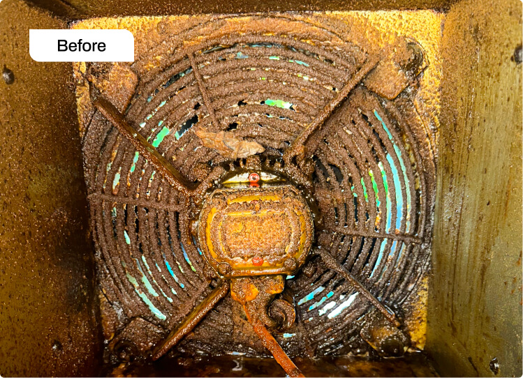 Exit Cleaning Before