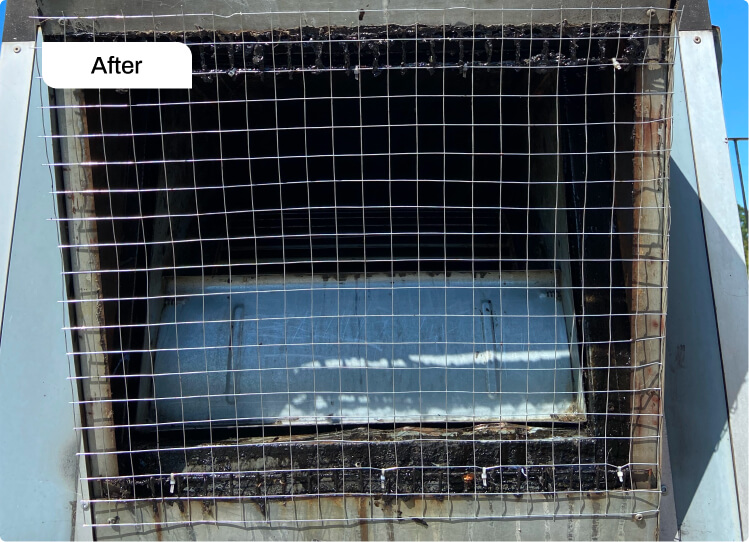 Mesh Replacement Cleaning After