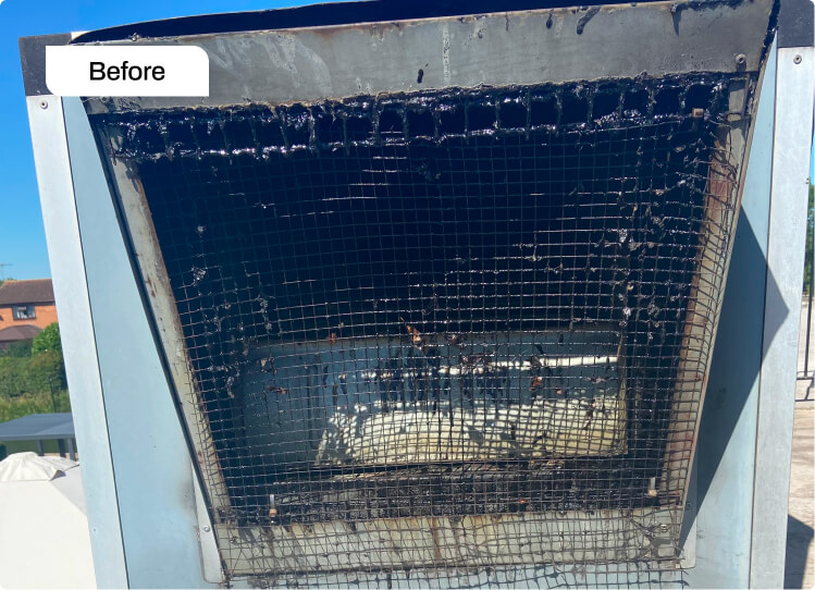 Mesh Replacement Cleaning Before